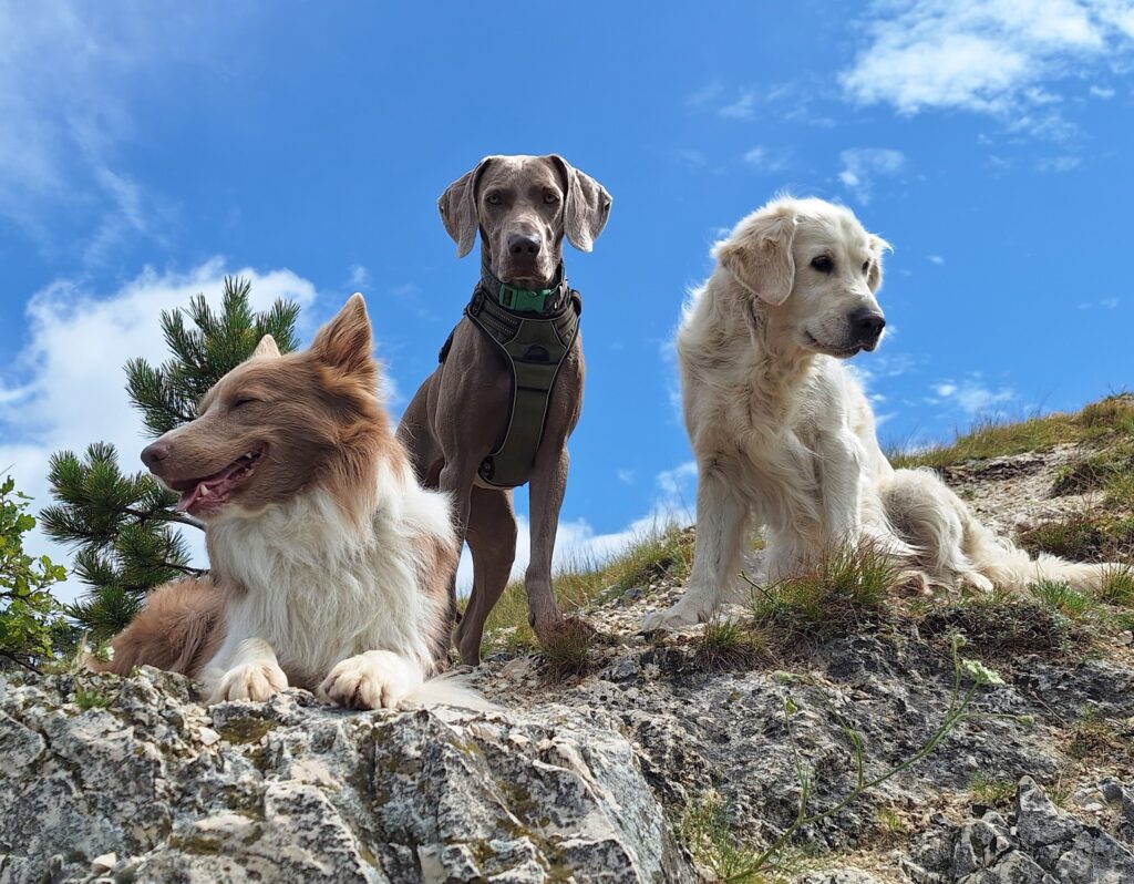 20250728 105703 másolata