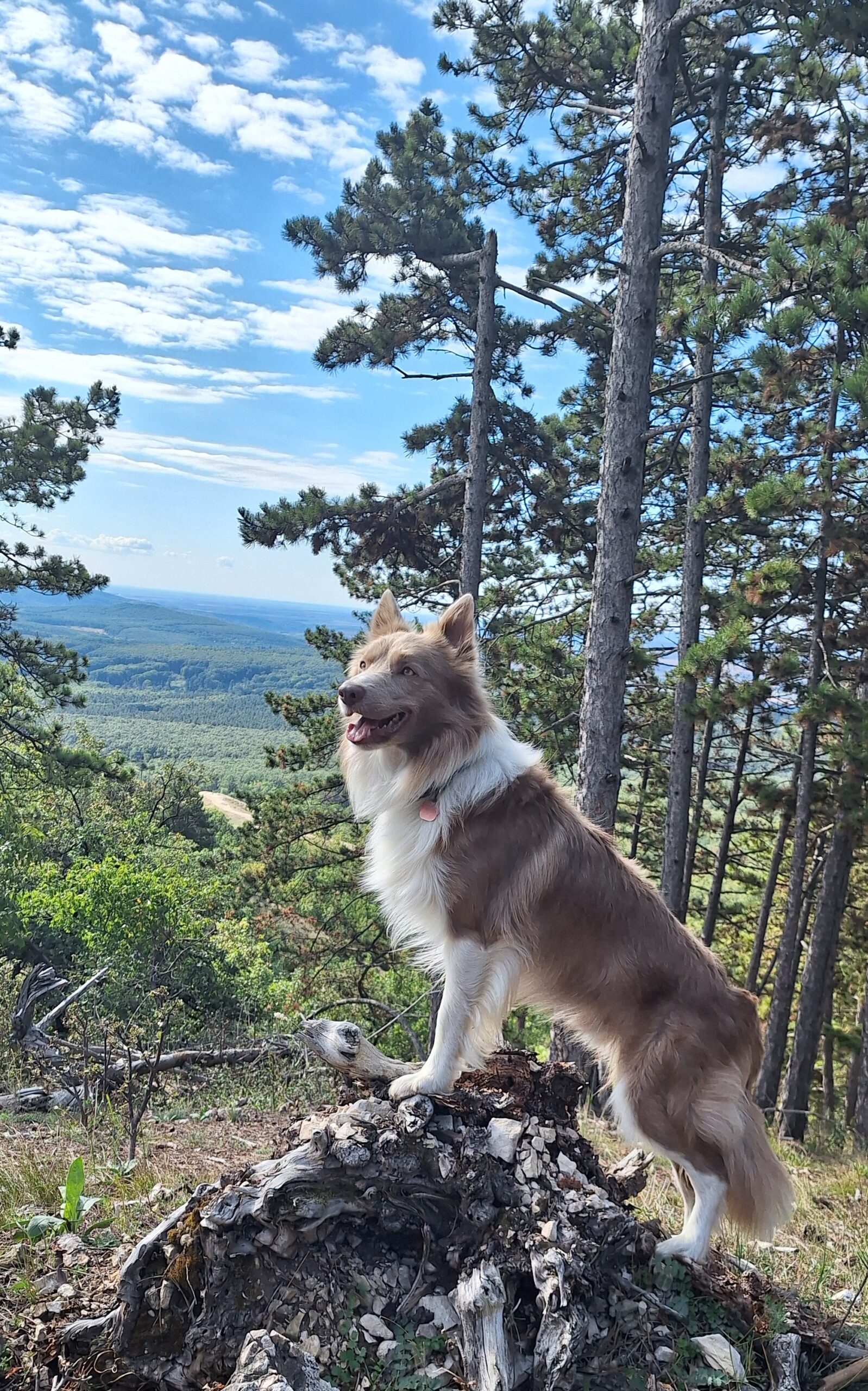 20250929 112259 másolata